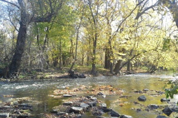 Environmental Justice Freedom School